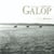 Galop - pur sang