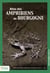 Atlas des amphibiens de bourgogne
