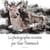 La photographie revisitee par alain thimmesch