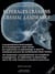 Repérages crâniens - cranial landmarks