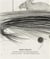Ann Wolff: the early drawings : fruhe zeichnungen (1981-1988)
