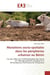 Mutations socio-spatiales dans les périphéries urbaines au Bénin : Cas des effets de l'individualisation des terres sur l'élevage pastoral à Koubou et à Kinnoukpanou