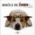Drole de chien !...