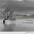 Dowland : lachrimae