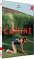 Canine