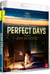 Perfect Days