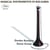 Instruments de musique en Bulgarie / Zurna