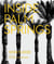 Inside palm springs