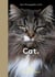 Cat : The best new photography of cats