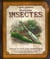 Etonnants insectes - journal de bord d'une entomologiste