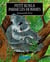 Petit koala parmi les hommes
