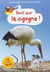 Tout sur la cigogne !