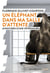 Un éléphant dans ma salle d'atente - aventured d'une vétérinaire