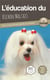 L'éducation du Bichon Maltais : toutes les astuces pour un Bichon Maltais bien éduqué