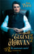 Les enquetes d'eugene morvan - un anniversaire mortel