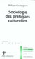 Sociologie des pratiques culturelles