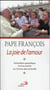 La joie de l'amour - exhortation apostolique amoris laetitia sur la famille
