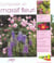 Composer un massif fleuri