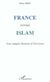 France versus islam - une simple histoire d'electorat