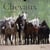 Chevaux 2012 - le calendrier