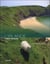 L'irlande