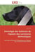 Semiolgie des boiteries de l'epaule des carnivores domestiques - technique d'examen orthopedique de