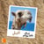 Al-jamal