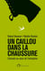 Un caillou dans la chaussure - l'humain au coeur de l'entreprise