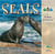 Seals