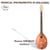 Instruments de musique en Bulgarie / Tambura