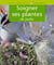 Soigner ses plantes de jardin
