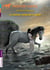 Un Cheval Venu De La Mer