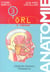 Anatomie - t03 - anatomie - [3] - orl (2e édition)