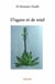 D'agave et de miel
