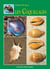 Les coquillages