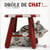 Drole de chat !...