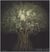 Irene kung trees