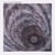The spiral arm
