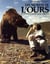 Les secrets de l'ours