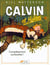 Calvin et Hobbes Tome 15 : complètement surbookés !