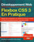 Flexbox css 3 en pratique - développement web