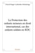 La Protection des enfants mineurs en droit international, cas des enfants soldats en RDC