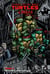 Les Tortues Ninja - TMNT classics Tome 3 : retour à New York