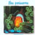 Poissons (les)