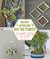 Ma déco intérieure avec des plantes : Projets DIY pour embellir son chez-soi