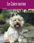 Le cairn terrier