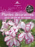 Plantes décoratives pour jardin et terrasse