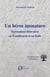 Un héros immature : Formations litteraires en Scandinavie et en Italie
