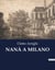 NANÀ A MILANO : Un viaggio nel realismo milanese del XIX secolo
