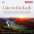 Like to the lark